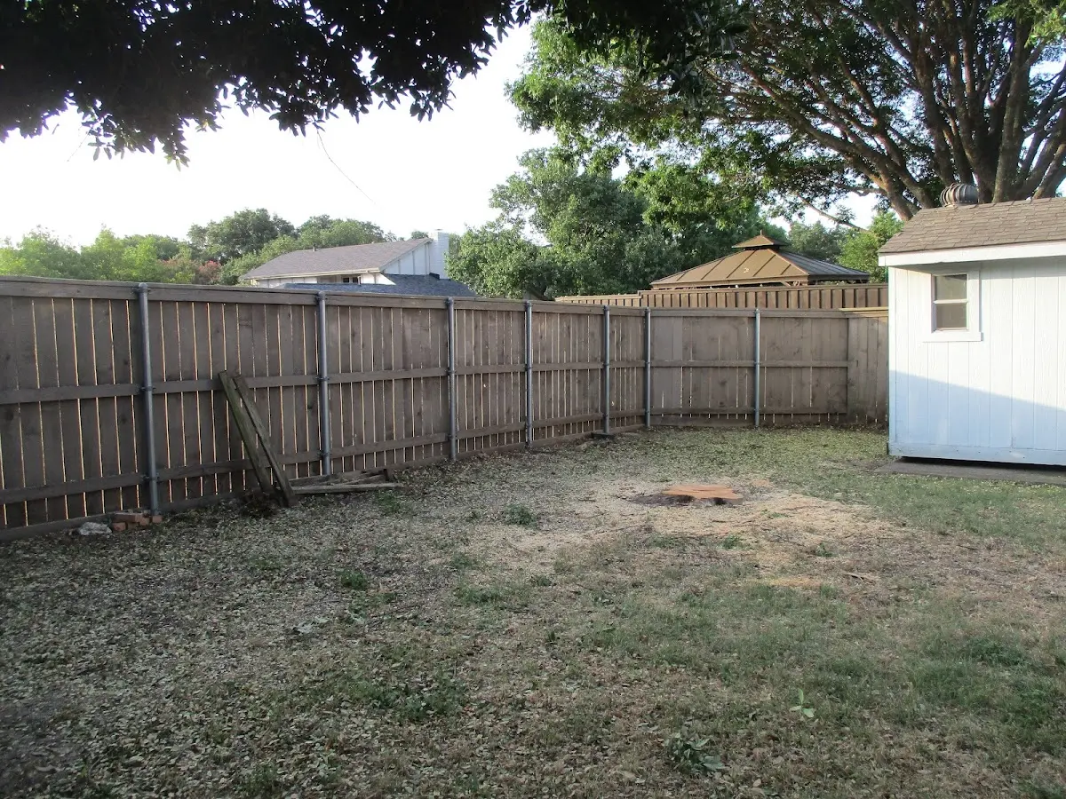 Cleared yard after professional tree removal in Fort Hill